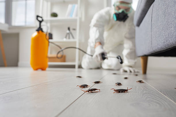 Trusted Fumigation Services service in State Center, IA - Nex Pest Control